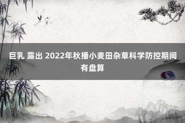 巨乳 露出 2022年秋播小麦田杂草科学防控期间有盘算