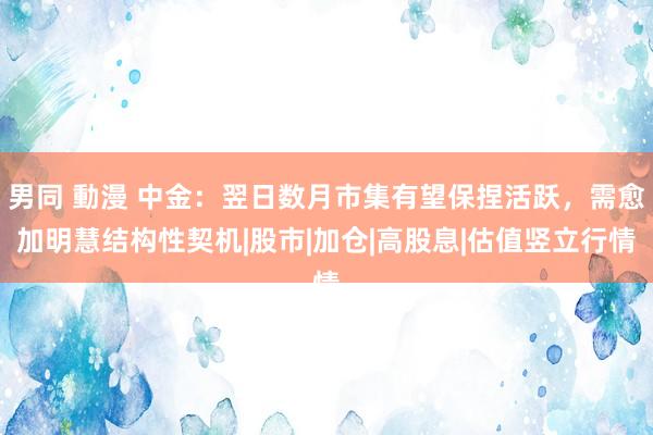 男同 動漫 中金：翌日数月市集有望保捏活跃，需愈加明慧结构性契机|股市|加仓|高股息|估值竖立行情